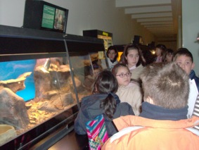 2009 Museo de CCNN y Concierto