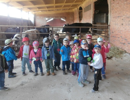 2015 GRANJA DE ANIMALES. INFANTIL