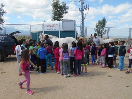 2016 CABALLOS CENTRO HÍPICO EL PASEO