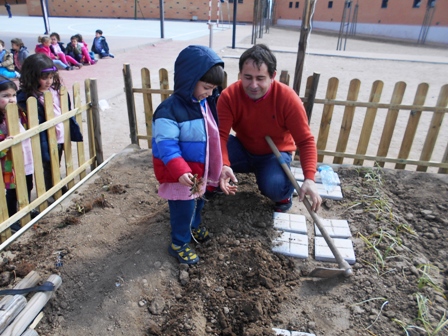 2016 PLANTANDO FRESAS