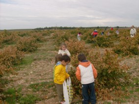 Vendimia07