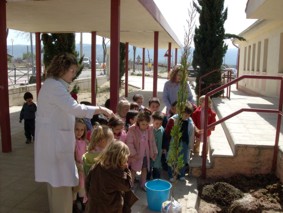 Día del árbol